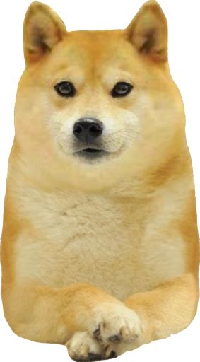 Png Angry Doge Meme Template Download Doge Png Transparent Png