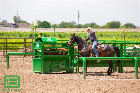 Roping And Rodeo Equipment — Ranch Works Inc