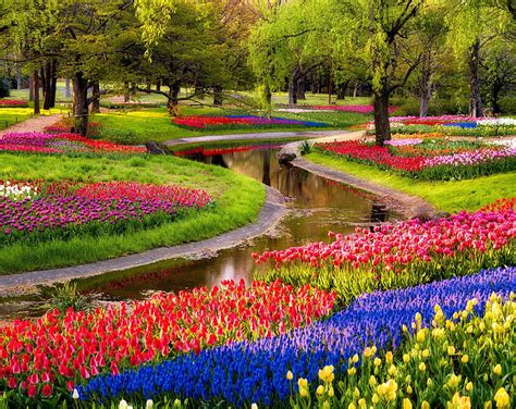 1920x1080px Free Download Hd Wallpaper Beautiful Spring Garden