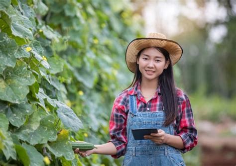 4 ciri usaha yang menguntungkan. Peluang Usaha Agribisnis yang Menguntungkan » WebsiteRiau ...