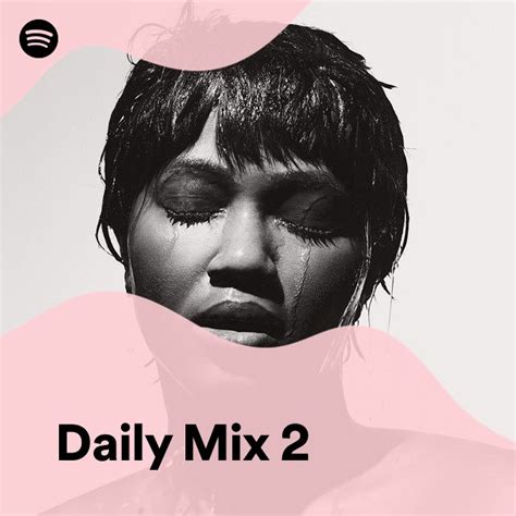 daily mix 2 spotify playlist
