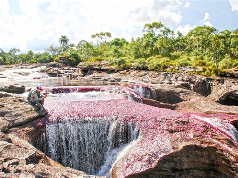 Tour To Caño Cristales 5 Days And 4 Nights La Macarena