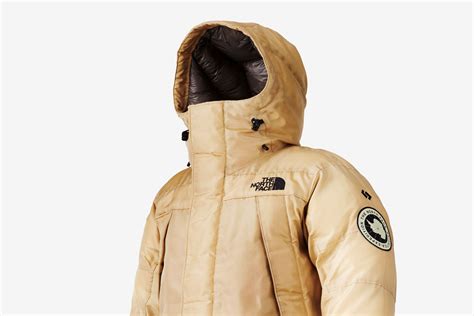 The North Face Unveils Gold Colored Synthetic Spider Silk Jacket In New