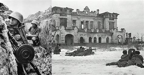 22 Remarkable And Rare Photos Of The Siege Of Leningrad War History