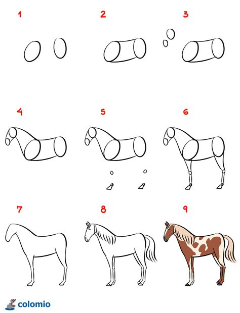 Como Desenhar Um Cavalo Instruções Passo A Passo Ponys Zeichnen