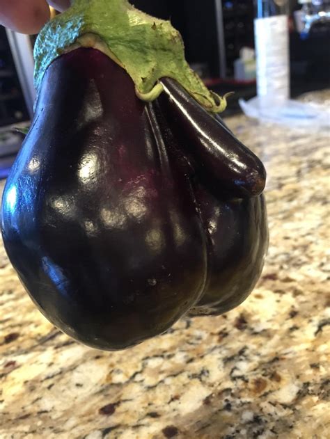 My Dad Found An Eggplant Today That Looks Like Well Im Not Sure What It Looks Like Meme Guy