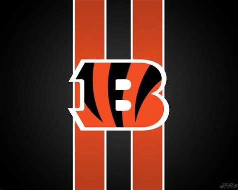How Cincinnati Bengals Changed Our Lives In The Brand New Year