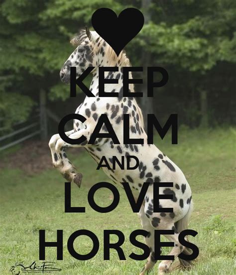 Keep Calm And Love Horses Poster Amy Keep Calm O Matic