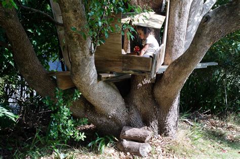 Ein muss für jede waldfee, die einen neuen aufenthaltsort sucht. Braucht man einen Statiker für ein Baumhaus ? | Garten-Kids