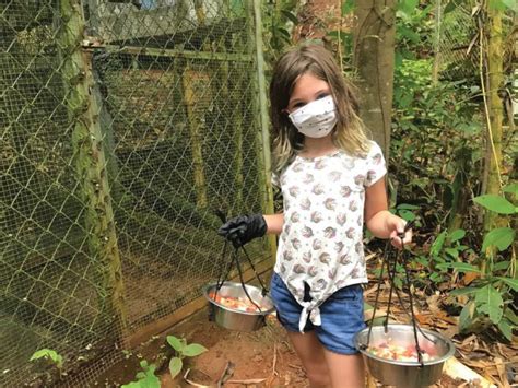 Kids Saving the Rainforest | Quepolandia
