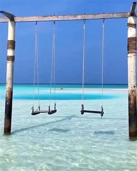 Swings In The Maldives 🇲🇻 Video Travel Photography Maldives