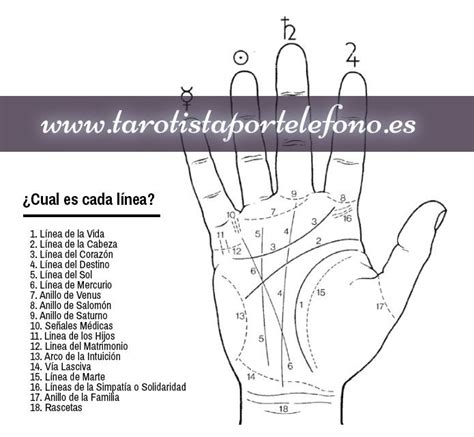 10 Líneas De La Mano En Quiromancia Artofit