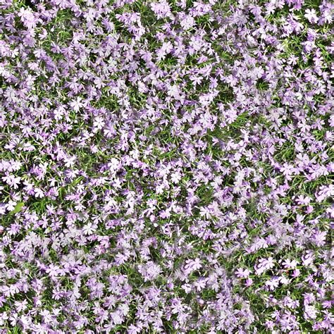 Seamless Filed Flowers Texture By Lendrick On Deviantart