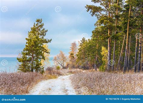 Autumn Landscape With First Snow In The Siberian River Ob Stock Photo