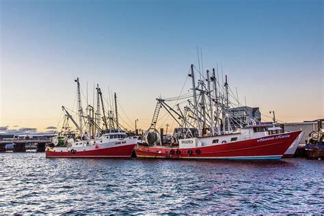 Commercial Fishing Boats Of Point Pleasant Photograph By Bob Cuthbert