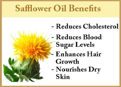 Safflower Oil Benefits Safflower Oil Benefits Oil Benefits