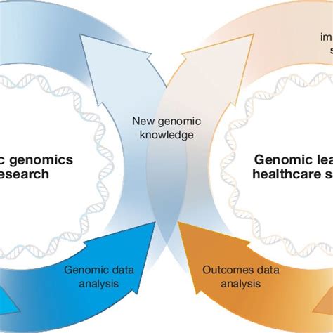 Virtuous Cycles In Human Genomics Research And Clinical Care As