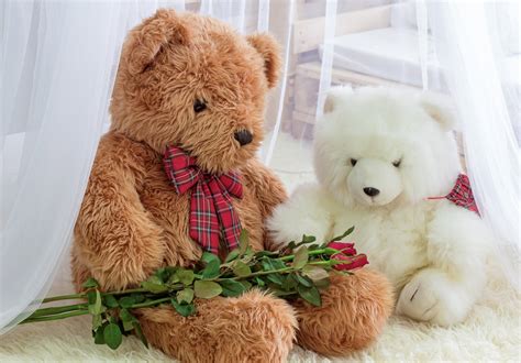 Cute Teddy Red Rose Wallpaper Download Mobcup