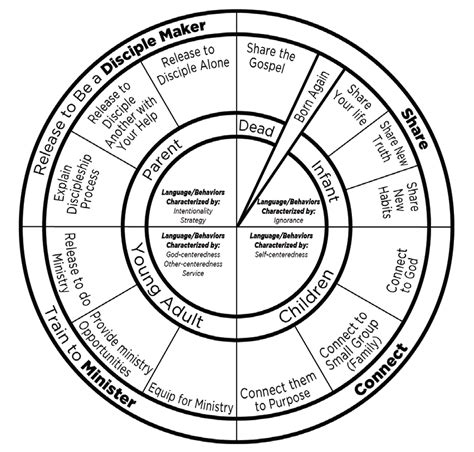 Arise Church Discipleship Wheel