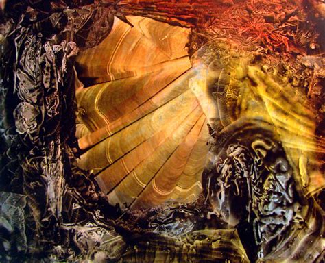 VIRAL LANDSCAPE II | acrylic on mylar - abstract decalcomani… | Flickr