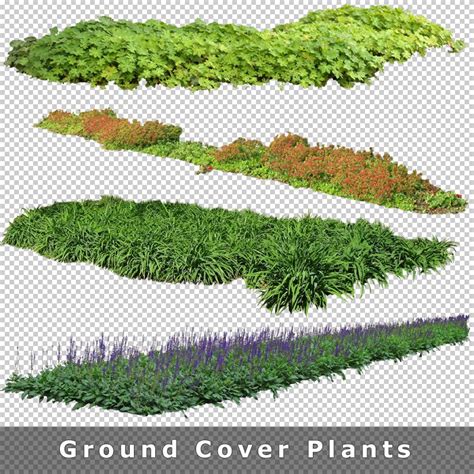 Cutout Plants V Cutout Vegetation For Architecture Renderings