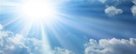 From photosynthesis, metabolism, and action to clinical applications. Excellent Sources of Vitamin D and Calcium | 1mhealthtips.com