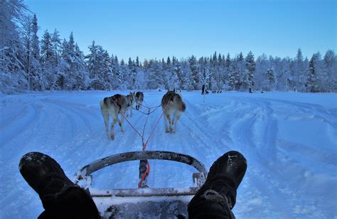 What To Do When Visiting Swedish Lapland