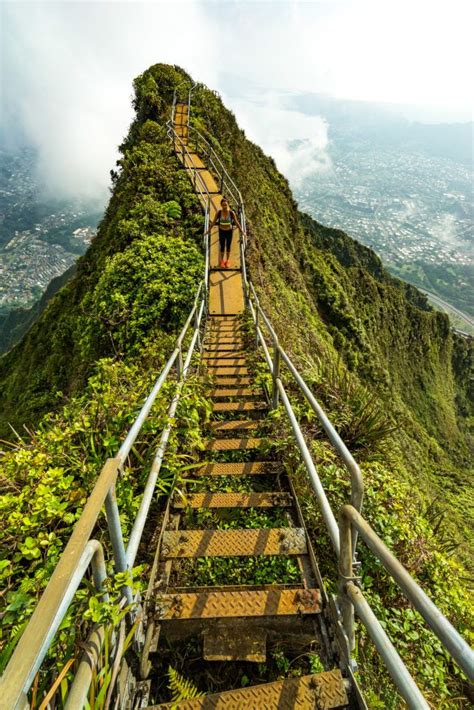 Check spelling or type a new query. Pin on HAWAII VACATION
