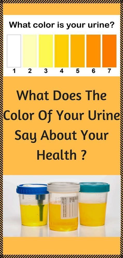 Heres What The Color Of Your Urine Says About Your Health In 2020