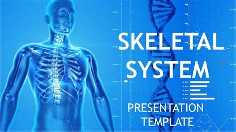 Skeletal System Powerpoint Template Google Slides Health And Medical
