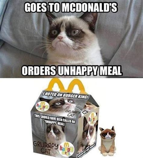 Grumpy Meal Grumpy Cat Know Your Meme