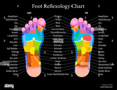 Foot Reflexology Chart With Accurate Description Of The Corresponding Internal Organs And Body