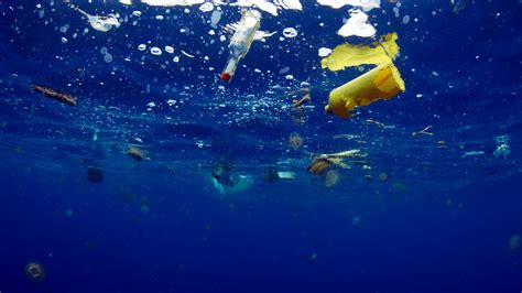 Horrifying Images Show Devastating Impact Of Plastic Pollution As