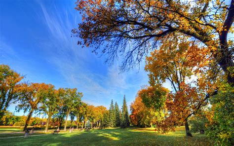壁紙 秋の公園、木々、草、ベンチ、日差し、青空 1920x1200 Hd 無料のデスクトップの背景 画像