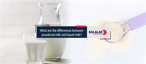 What Are The Differences Between Powdered Milk And Liquid Milk Kulalac