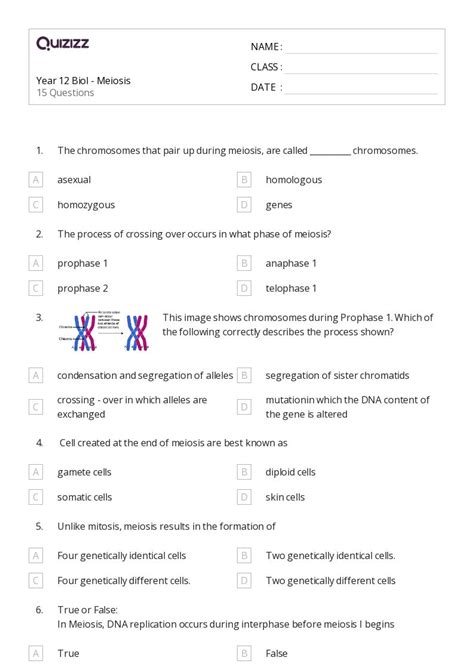 Printable Meiosis Worksheets For Class Quizizz The Best Porn Website