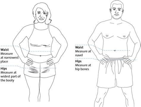 Difference Between Hip And Waist