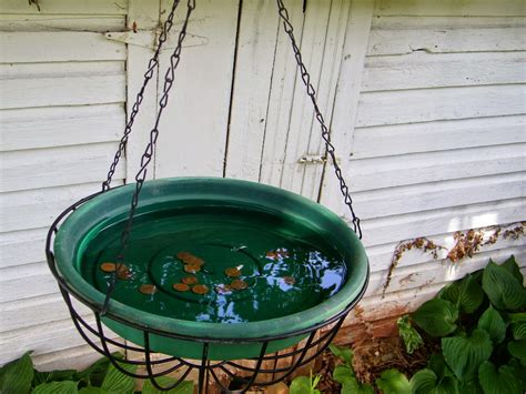 Maybe you would like to learn more about one of these? Eclectic Momma: DIY Bird Bath