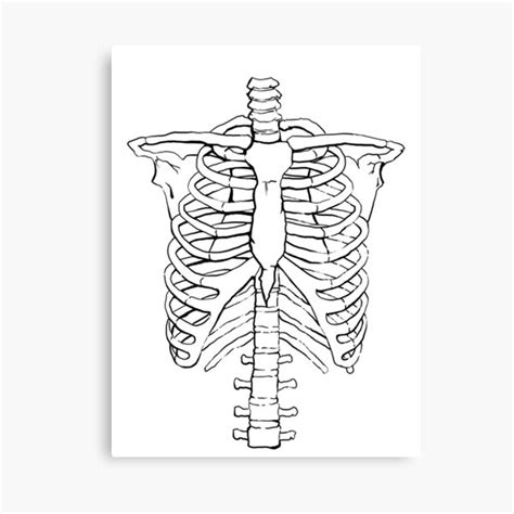 Rib Cage Canvas Print For Sale By Jero Redbubble