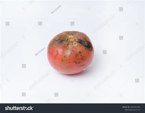 1850 Rancid Food Images Stock Photos And Vectors Shutterstock