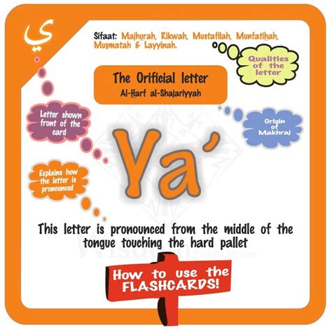 Check out our new Flashcards... Unique and in vibrant colours, behind