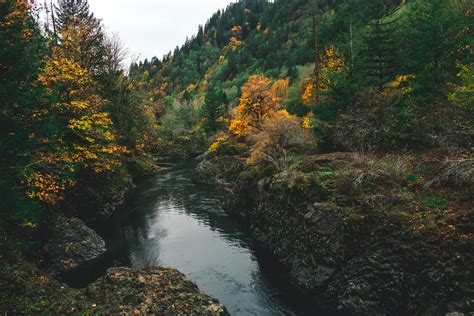 Fall Colors Tillamook State Forest Oregon Oc 4896 X 3246 R