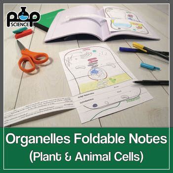 Maybe you would like to learn more about one of these? Cell Organelles Foldables: Exploring Plant & Animal Cell ...