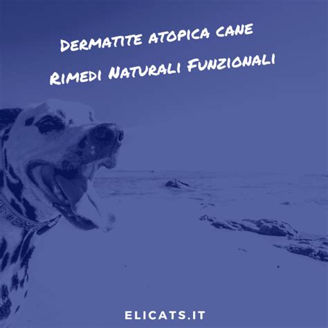 Dermatite Atopica Cane Cure Naturali Funzionali Efficaci Elicatsit