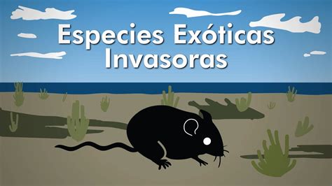 Especies Exóticas Invasoras Youtube