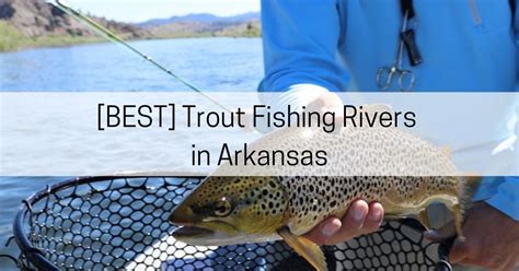 3 Best Trout Fishing Rivers In Arkansas All About Arkansas