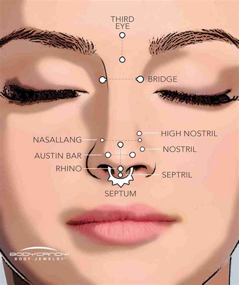 The Piercing Dictionary Nose Piercings