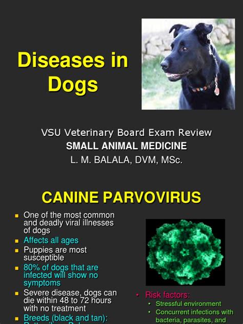 Diseases In Dogs Health Sciences Medical