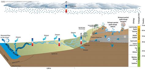 Bluebottle Spring Hydrology Department Of Environment Science And