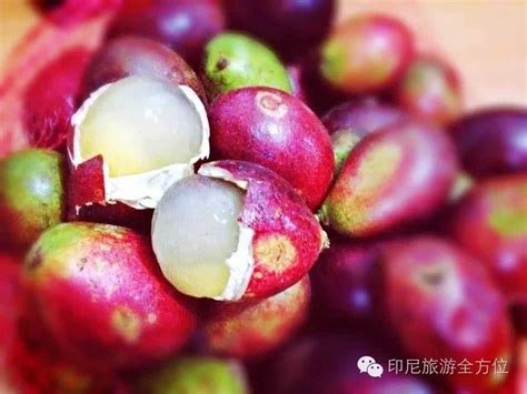 你绝对没吃过的印尼特色水果buah Matoa